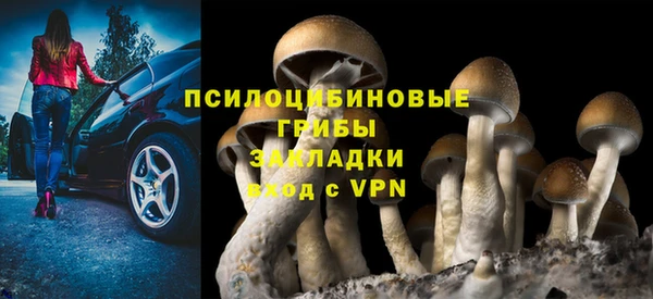 гидропоника Алзамай