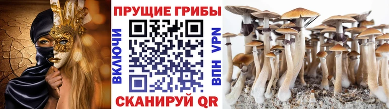 Галлюциногенные грибы MAGIC MUSHROOMS  Малоархангельск 